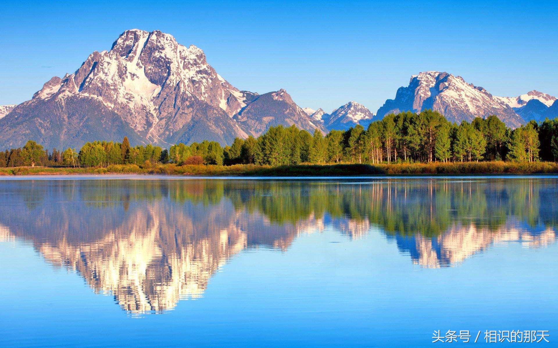 属鸡哪几年运势最好呢,属鸡人本命年下半年运势如何
