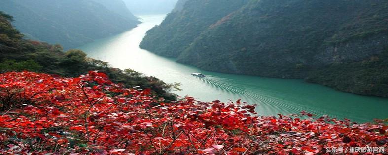 重庆主城区哪里可以看红叶,重庆看红叶哪个景点更好玩