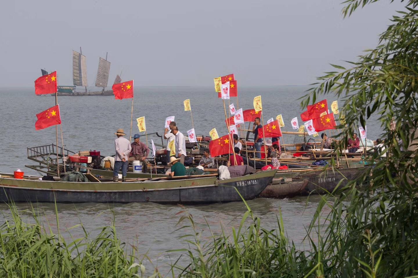太湖七都美味鱼蟹现捕现吃，还能看鸬鹚，就这么傲娇｜内附视频