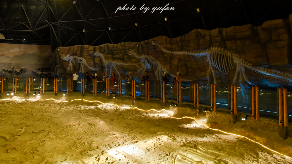 中国被称为恐龙之乡的地方在哪,哪里被誉为中国北方恐龙之乡