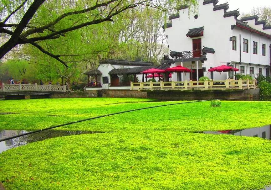 上海户籍政策,上海还有什么免费值得去的地方吗