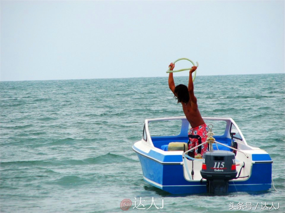 达人J：新马声色任逍遥