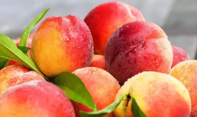 高邑未来10年规划,高邑公告