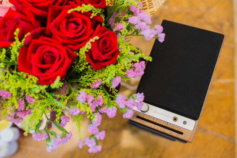 audioengine澹版搸hd3钃濈墮闊崇,澹版搸audioenginehd3杩炴帴鐢佃