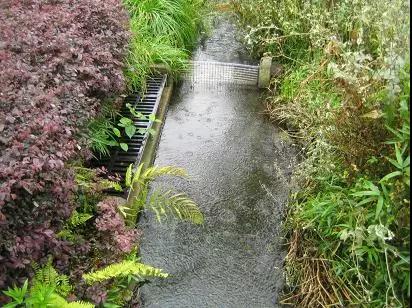 绝望主妇是什么书啊,绝望主妇失明又重见光明