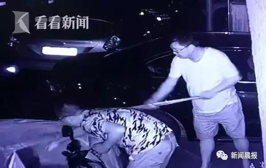 上海流浪狗幼崽被打死,上海宠物狗被打死爱狗人士