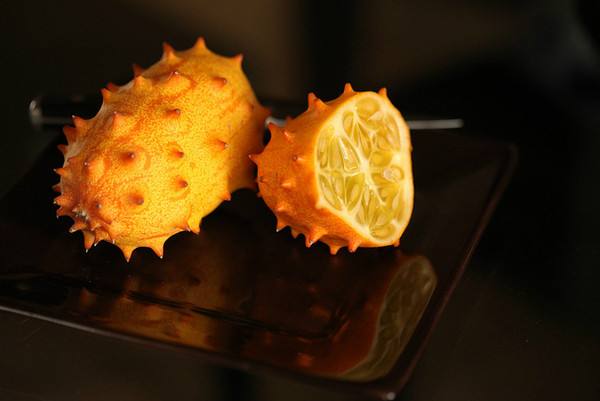 新西兰奇异果是几月的水果,新西兰奇异果大全