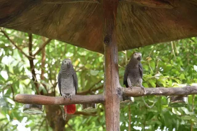 小女孩的三亚游,三亚合适小朋友玩的景区