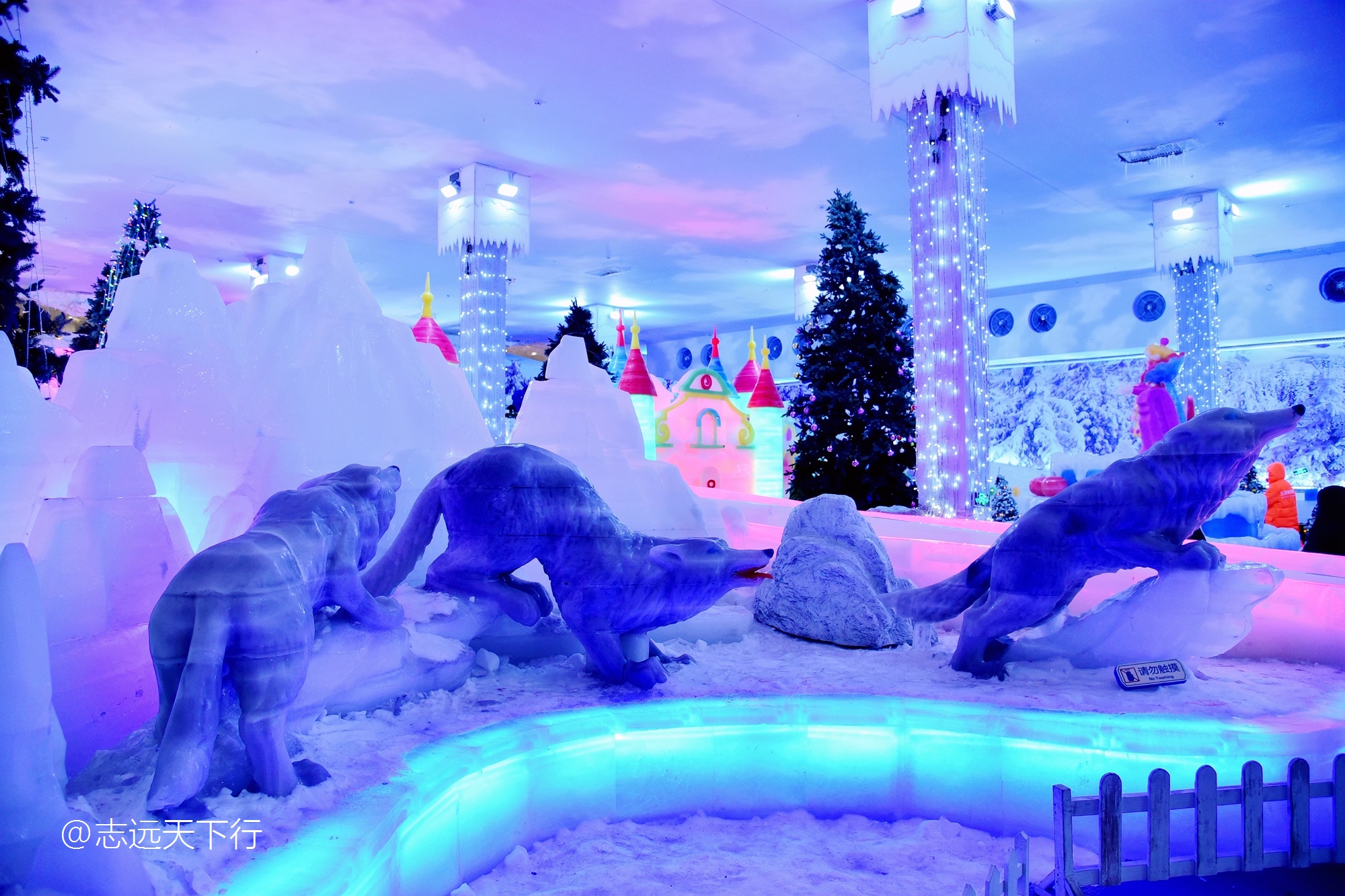 小女孩的三亚游,三亚合适小朋友玩的景区