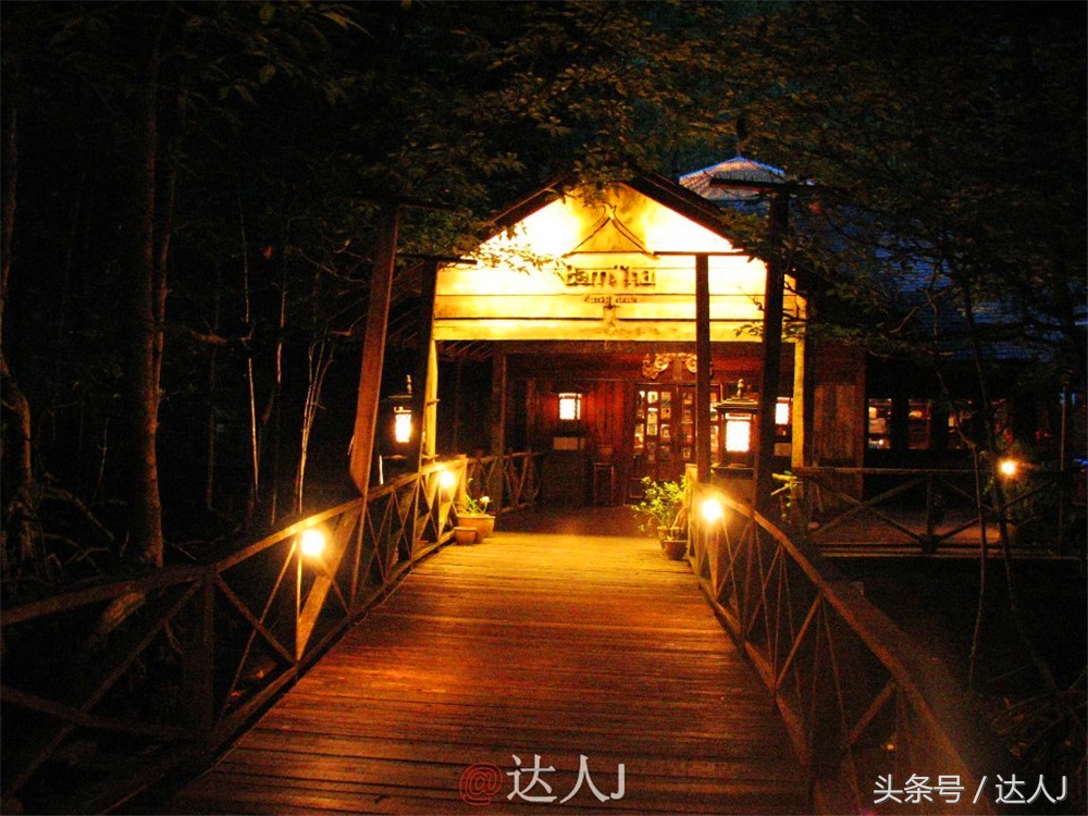 达人J：新马声色任逍遥