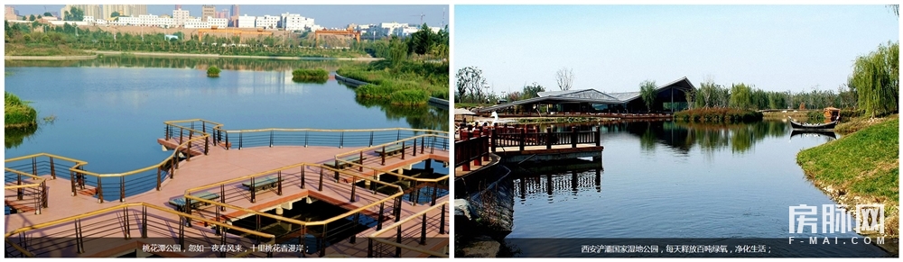 西安市浐灞生态区新优质小学,浐灞优质学区房