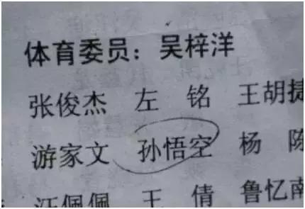 盘点王者光荣最有意思的名字,比较奇葩的王者光荣名字