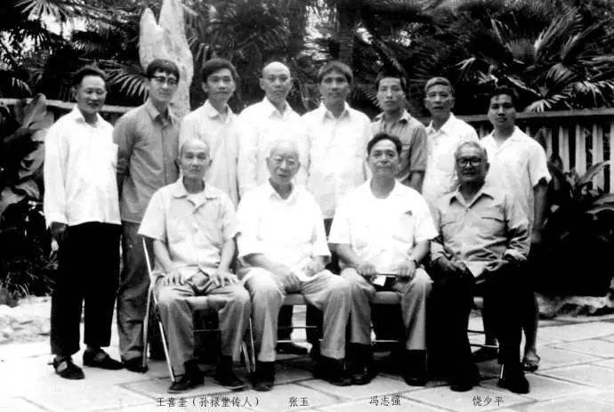 五虎上将的武功,太极拳武功高手