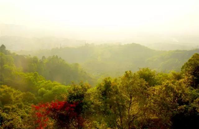 广州景点免费游玩全攻略,广州景点大全免费适合自驾游