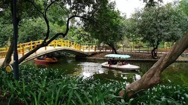 广州景点免费游玩全攻略,广州景点大全免费适合自驾游