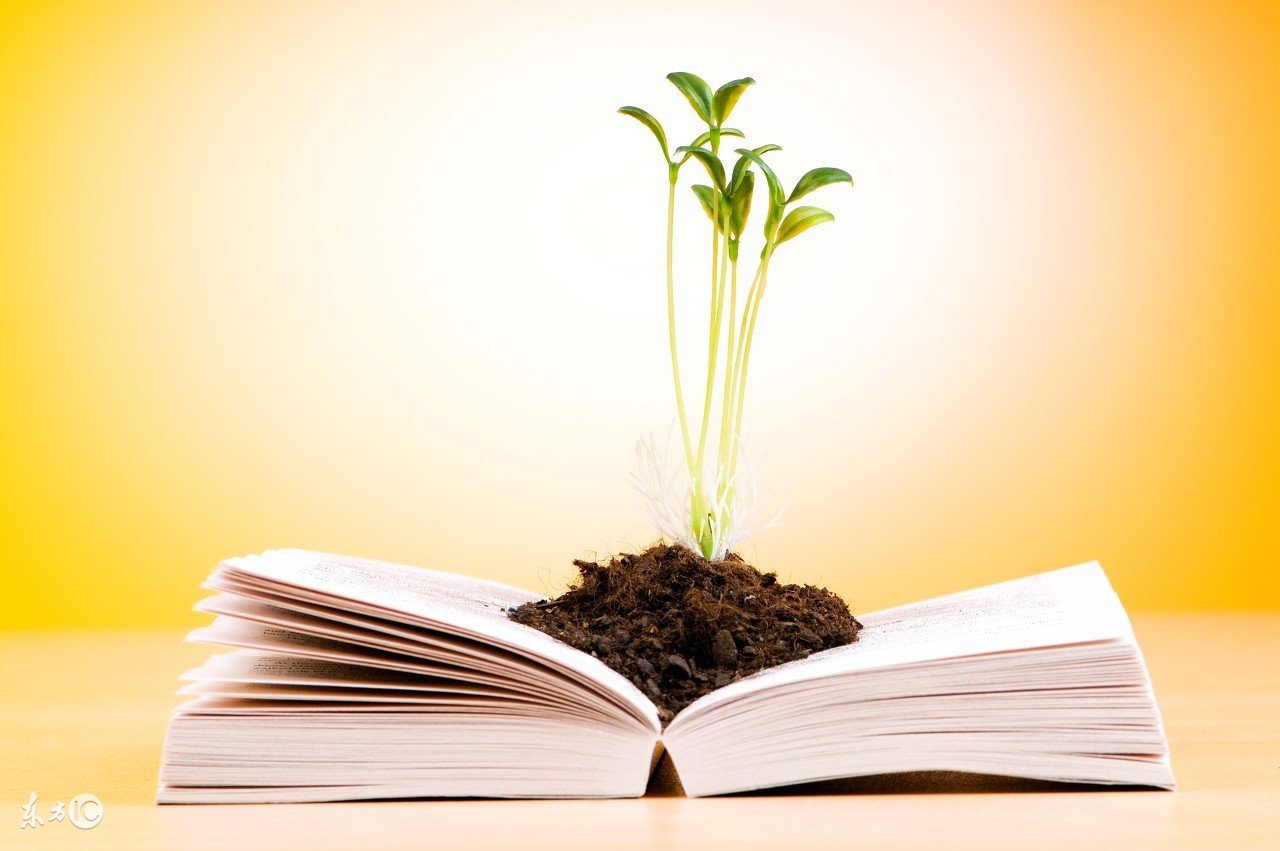 出现黑眼圈可以吃什么药能治好,黑眼圈的辨证与治疗