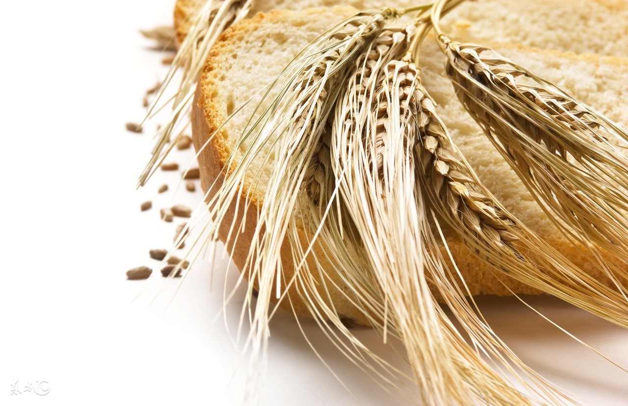 全麦粉和黑全麦粉哪个更好,全麦粉为啥有白的和黑的