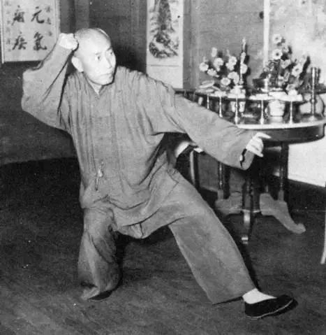 五虎上将的武功,太极拳武功高手