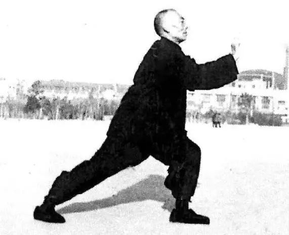 五虎上将的武功,太极拳武功高手