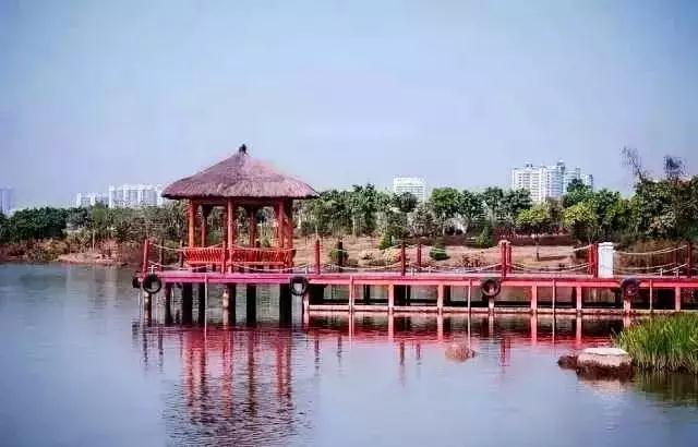 广州景点免费游玩全攻略,广州景点大全免费适合自驾游