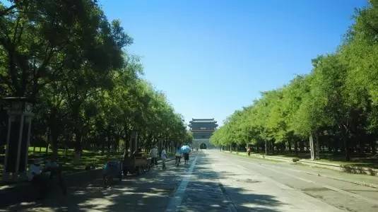 姥姥不疼舅舅不爱的人是什么性格,姥姥不疼舅舅不爱爸妈爱妹妹