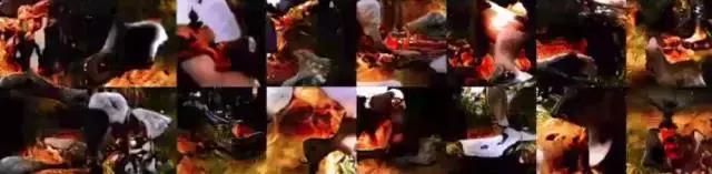 gan生成式对抗网络例子描述,gan对抗网络入门教程