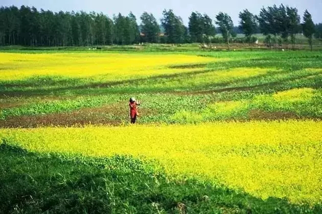 夏季沈阳周边自驾游路线推荐,沈阳周边30个最佳自驾好去处