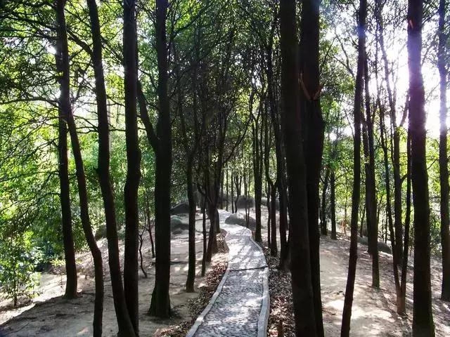 广州景点免费游玩全攻略,广州景点大全免费适合自驾游