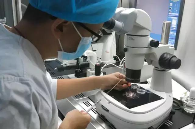 太神奇！生殖医学博士揭秘试管婴儿全过程！