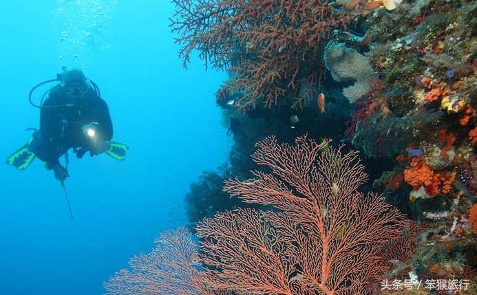 东南亚最适合潜水的海岛,6个绝美免签海岛