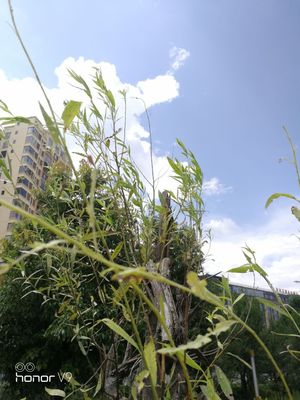 光荣v9录像不清晰,华为手机光荣v9支持无线快充吗