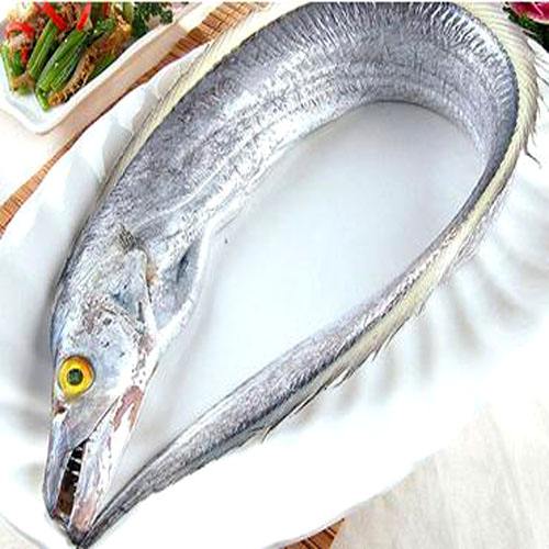 如何区分国产与进口带鱼,带鱼是国产的好还是进口的好