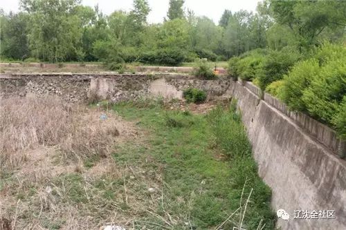 沈阳真人cs基地杀人案,沈阳真人cs基地杀人案判决