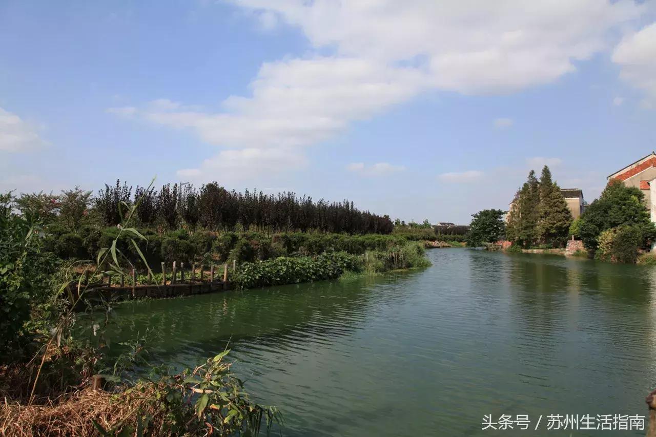 黄桥滨河家园,黄桥景观绿化