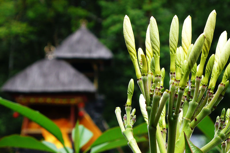 你还去巴厘岛穿越人山人海？聪明旅者已经在龙目岛享用安静时光