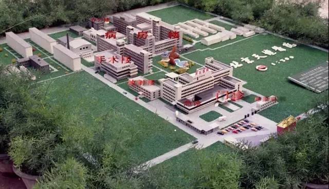 姥姥不疼舅舅不爱的人是什么性格,姥姥不疼舅舅不爱爸妈爱妹妹