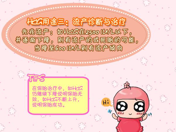 血HCG检查,hcg是检查血还是尿