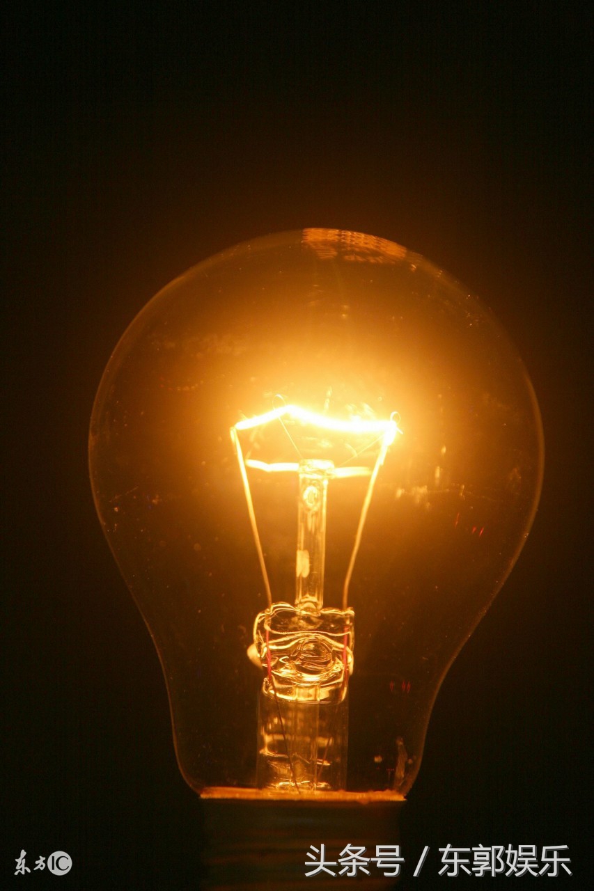 你不知道的冷门知识100条,100个经典冷门知识