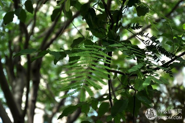 儿童玩具无敌滑板车,ninebot电动滑板车拆解