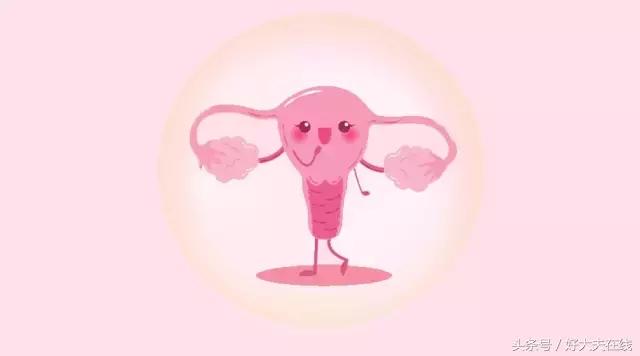 清宫保护卵巢的方法,散养鸡怎样保护卵巢