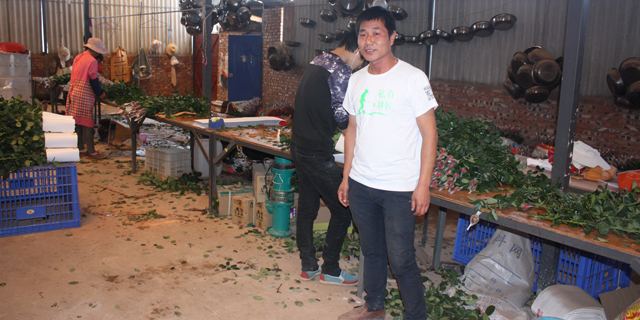 为什么花店生意越来越差,开个花店生意却很惨淡