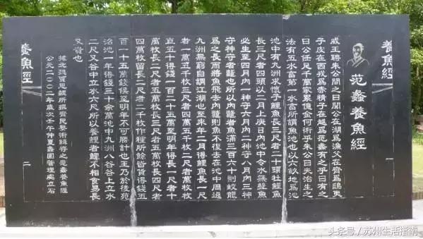 黄桥滨河家园,黄桥景观绿化