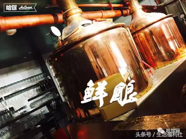 冷锅串串哪里的最好吃,哈尔滨成都冷锅串串