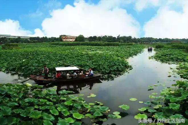 黄桥滨河家园,黄桥景观绿化