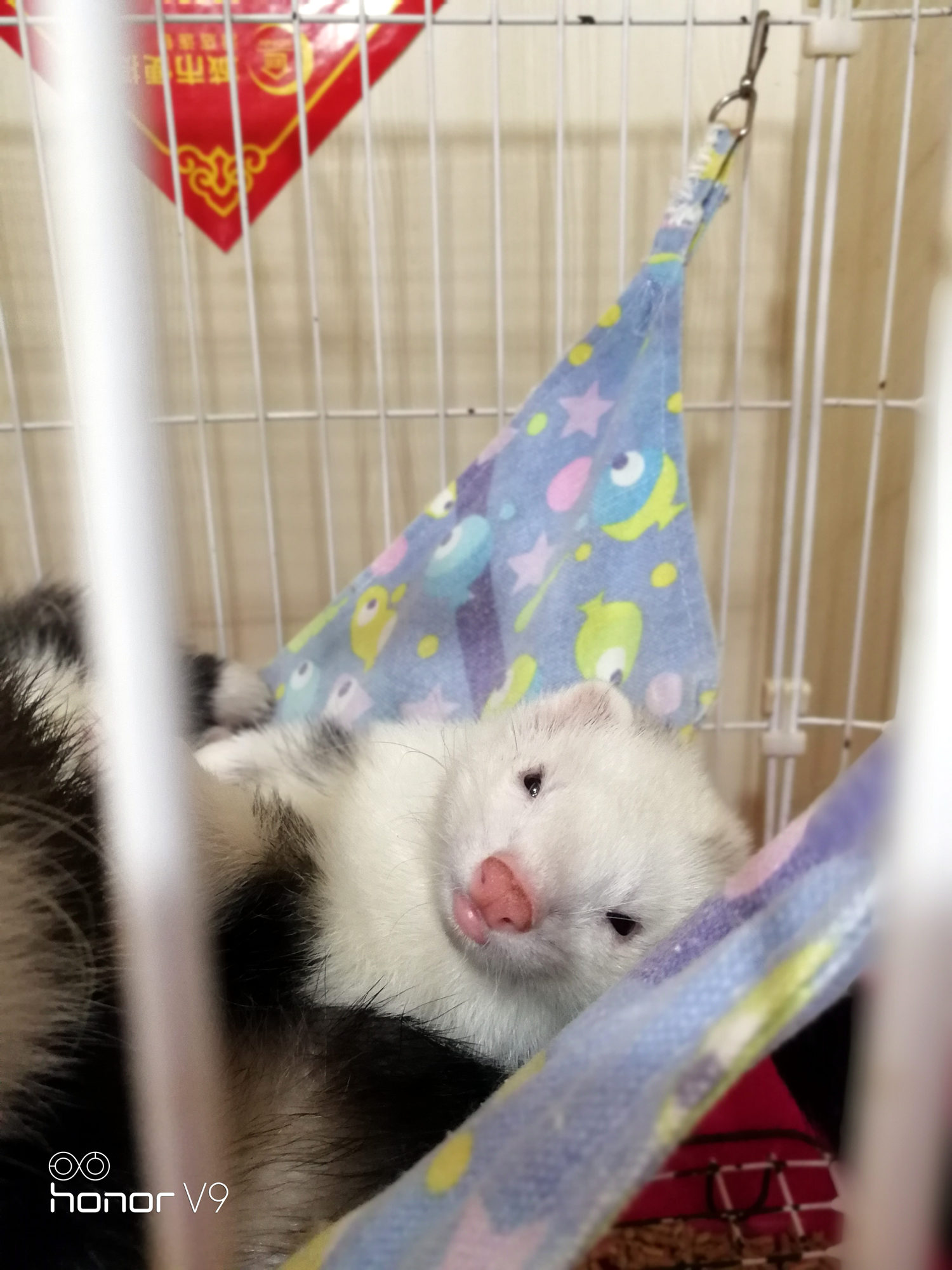 光荣v9游戏评测,光荣v9升级鸿蒙系统后评测