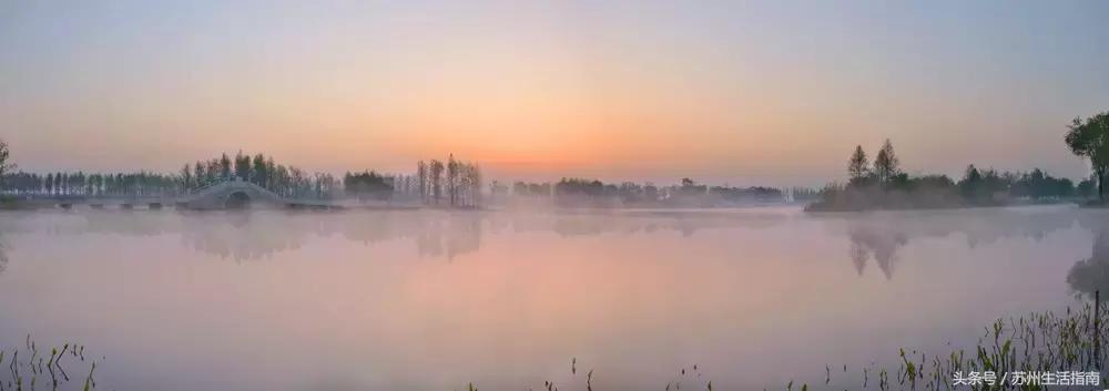 黄桥滨河家园,黄桥景观绿化