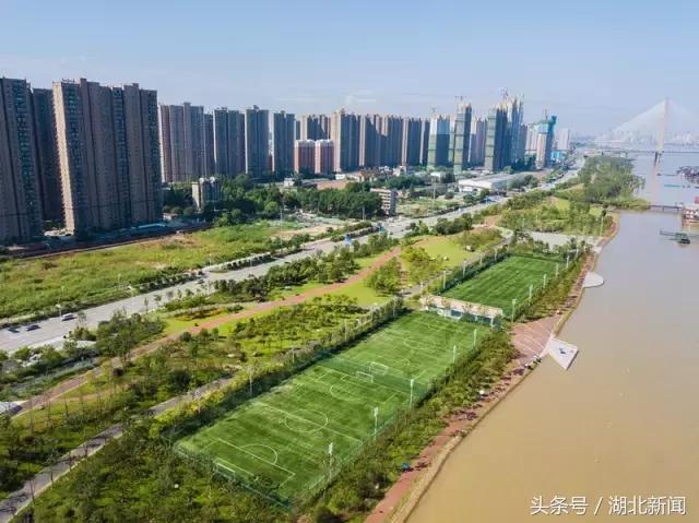 武汉如何复兴,武汉如何抗日