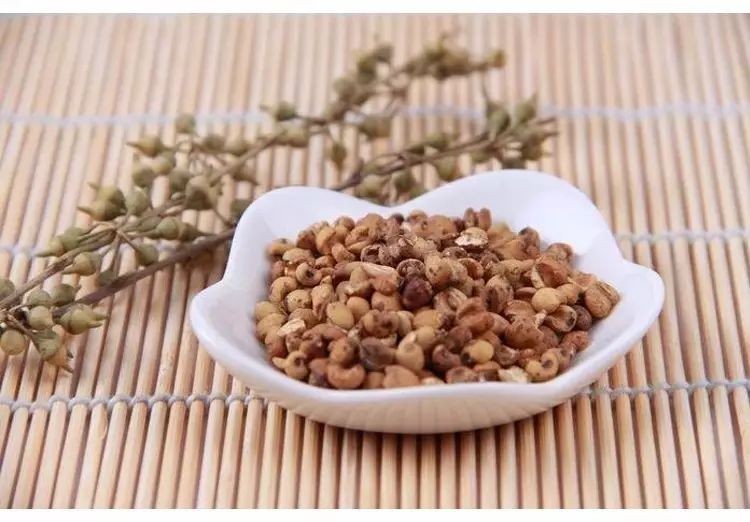 湿气重不是虚寒体质又不能喝薏米,薏米除湿为什么湿气重又不能吃