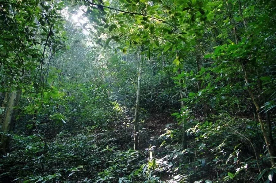 国庆节节成都五日游攻略,元旦成都出发两天一夜旅游攻略