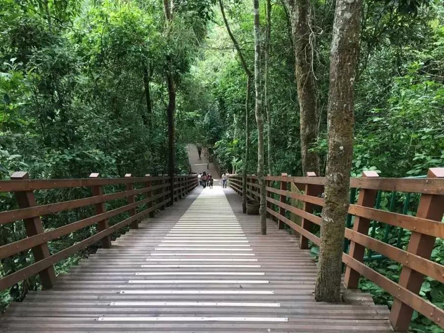 国庆节节成都五日游攻略,元旦成都出发两天一夜旅游攻略